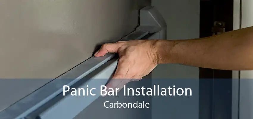Panic Bar Installation Carbondale